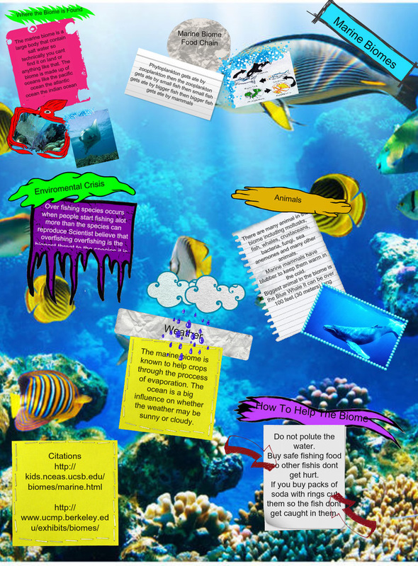 ocean biome project ideas